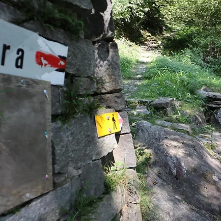 Verzasca Cassiopea *